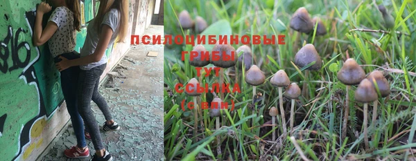 бутират Липки